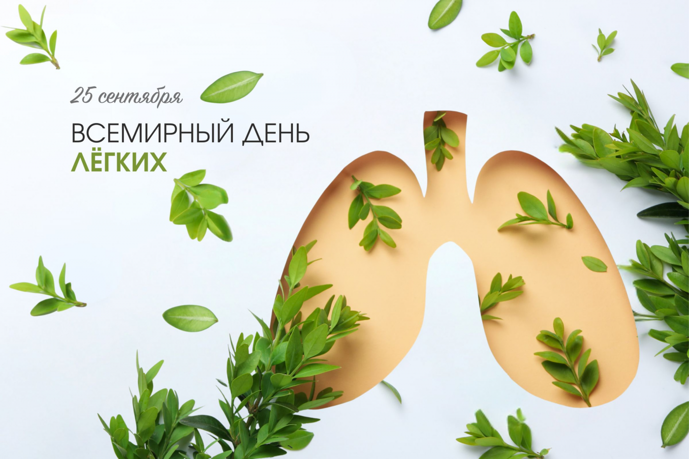Профилактика с БНТУ: Всемирный день легких